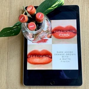 LipSense set of 4 Persimmon lip color! New. Sealed